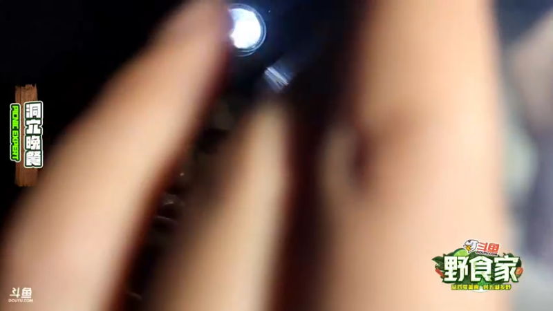 【2022-07-30 19点场】叶子户外：野食家DAY3山洞露营