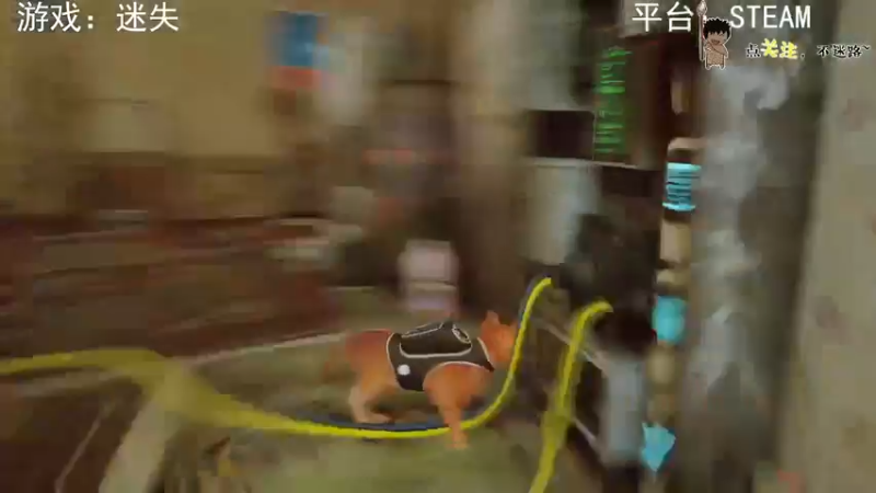 【2022-07-29 04点场】疯狂续命：迷失 进来撸猫~