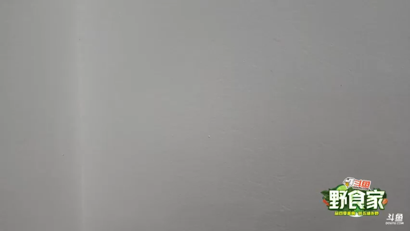 【2022-07-30 11点场】叶子户外：野食家DAY3山洞露营