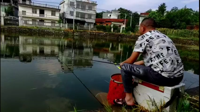【2022-08-02 16点场】中华户外钓鱼：陆水湖钓红尾鲢鳙