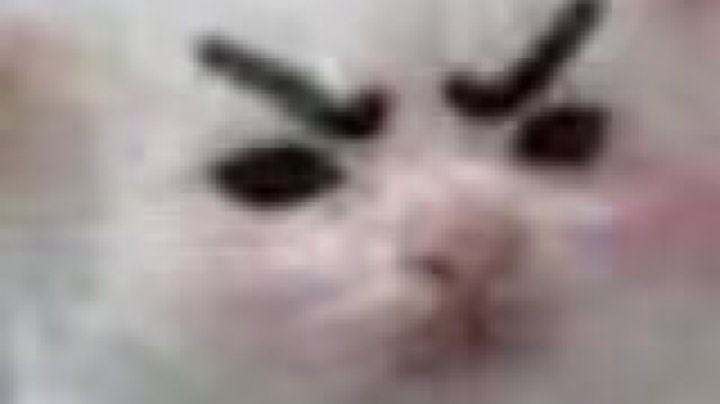 8.1