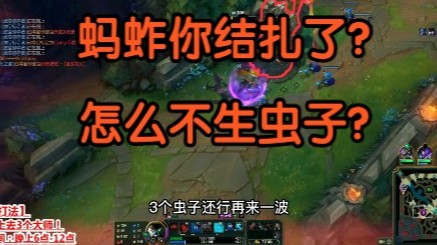 这是一个结扎的蚂蚱！怎么不生虫子？