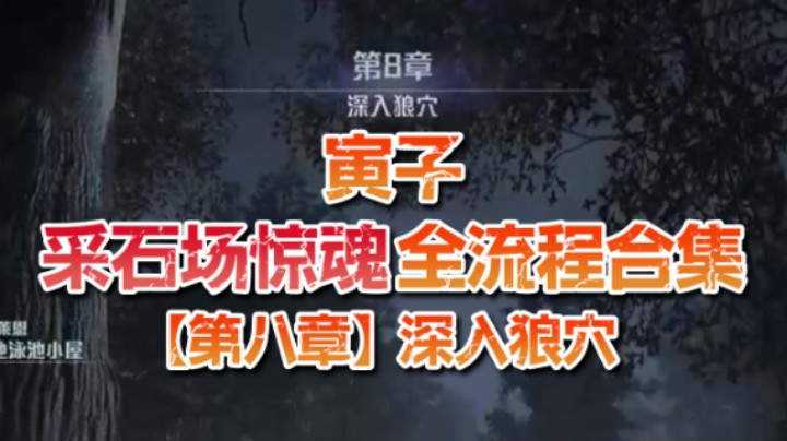 【寅子】《采石场惊魂》全流程合集 第八章：深入狼穴