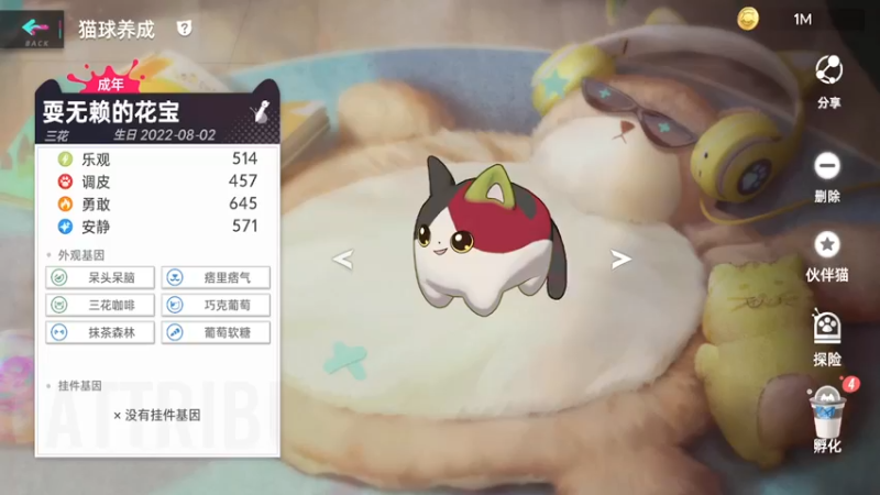 【2022-08-03 19点场】墨竹琴瑟：晚间播音馆-钓个鱼 养个猫