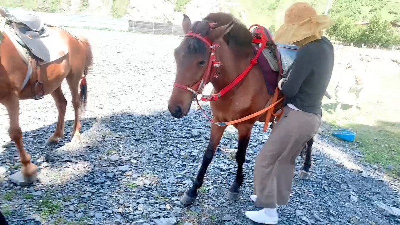 【汽车】主播宋师傅的精彩时刻 20220803 14点场