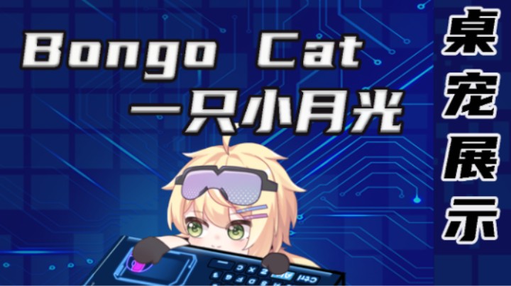 【Bongo cat模型展示】月光桌宠
