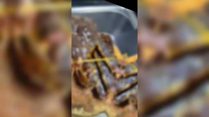 单杀厄加特