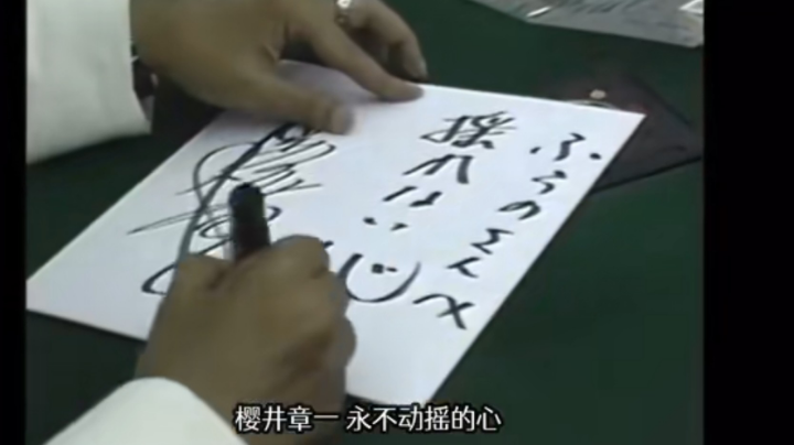 没看出票都点对3狼 看完票型只有我点四狼