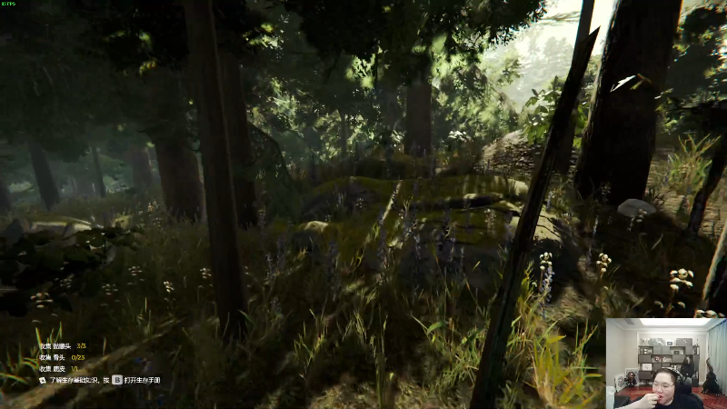 我在斗鱼看即将拥有人鱼线的PDD直播英雄联盟