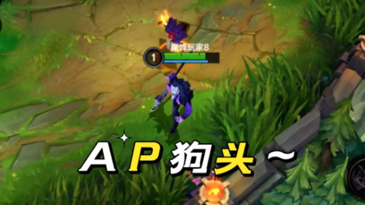 AP 狗头，捏爆 峡谷软柿子～