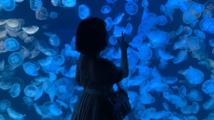来一场说走就走的旅行吧