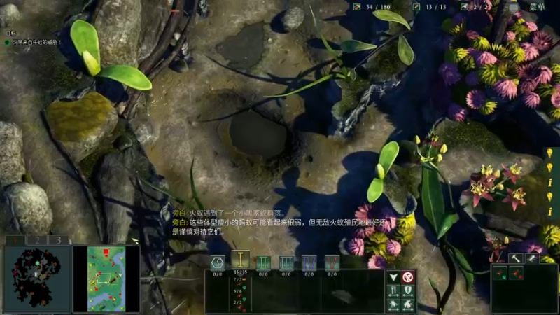 【2022-08-05 20点场】徐不鸽：最近直播不定时，看鱼吧。
