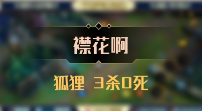 【襟花啊】狐狸 3杀0死