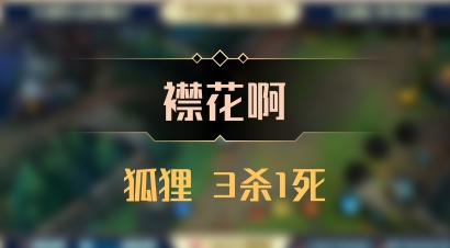 【襟花啊】狐狸 3杀1死