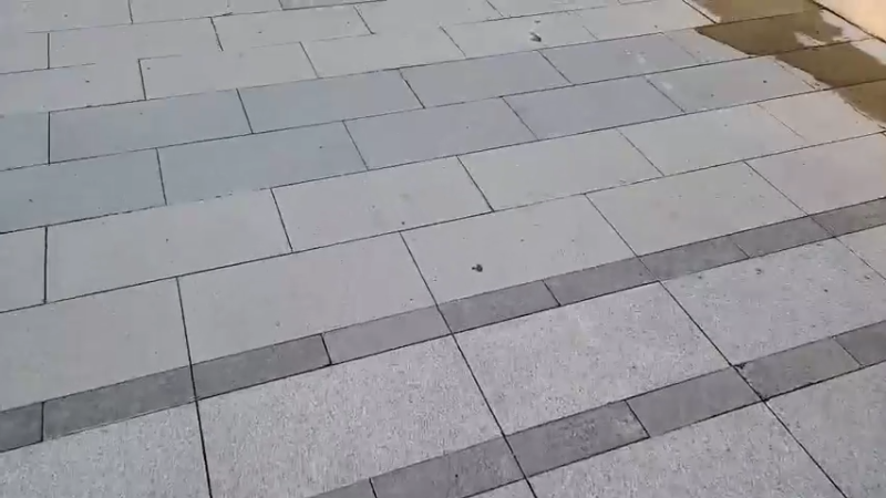 【2022-08-05 18点场】赛文柒Seven：晚上七点见xdm