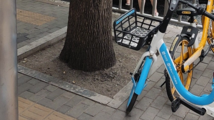 这军团忘了录，只能投稿直播记录了