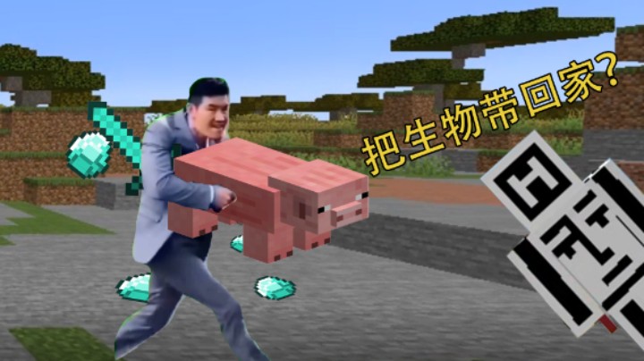 快速将动物带回家？一招让你学废！