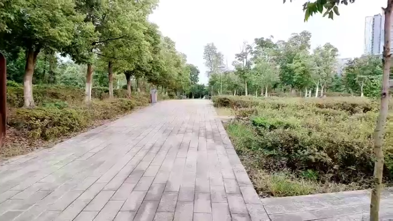 【2022-08-07 19点场】哈尼九：户外，美女，逛街，跳舞