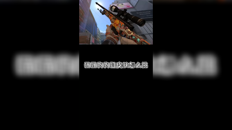 【csgo皮肤】猫猫狗狗狙皮肤怎么挑？