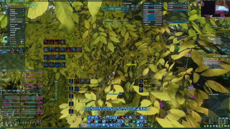 【2022-08-06 09点场】S7R1K3R：【双梦PVE气纯】上工上工