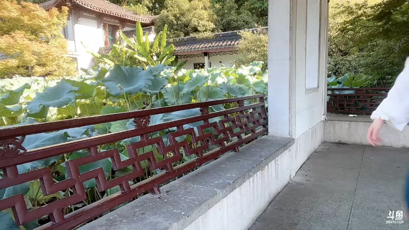 【英雄联盟】不2不叫周淑怡的精彩时刻 20220808 15点场