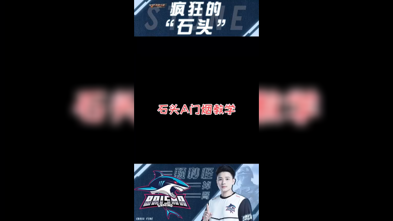 好好看好好学