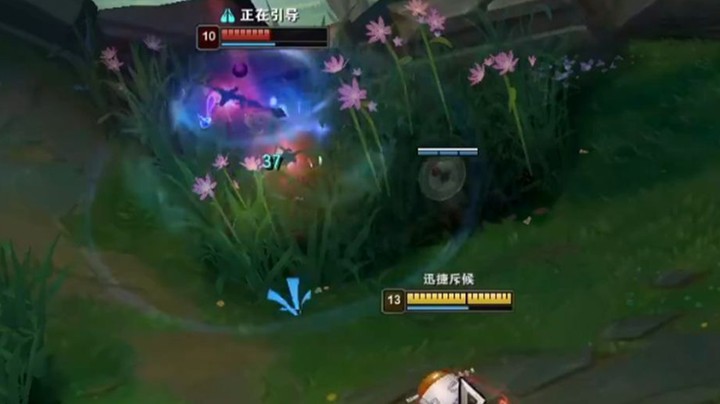 恶霸提莫：武器你是不是洞主的视频看多了