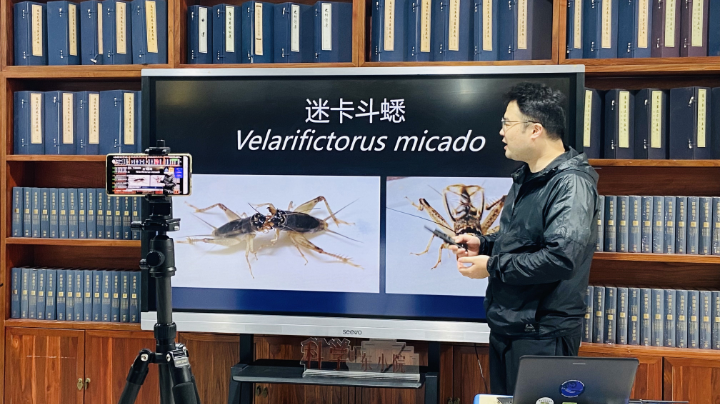 科学东小院—天地造物：听听城市里的虫声