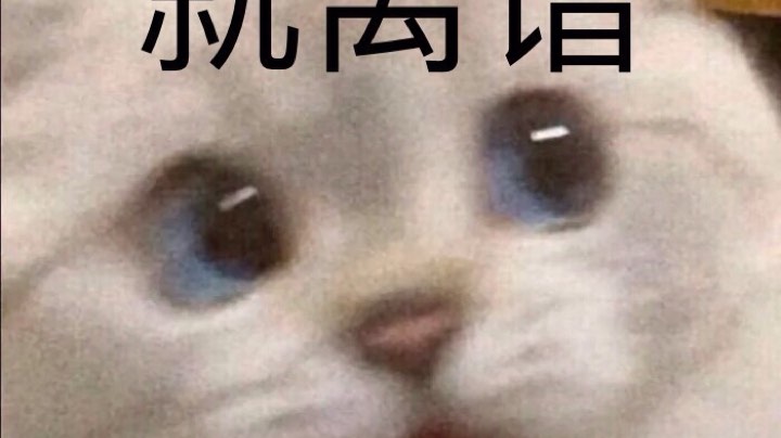盾棍吃鸡