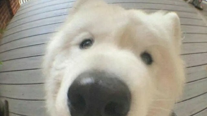 课课