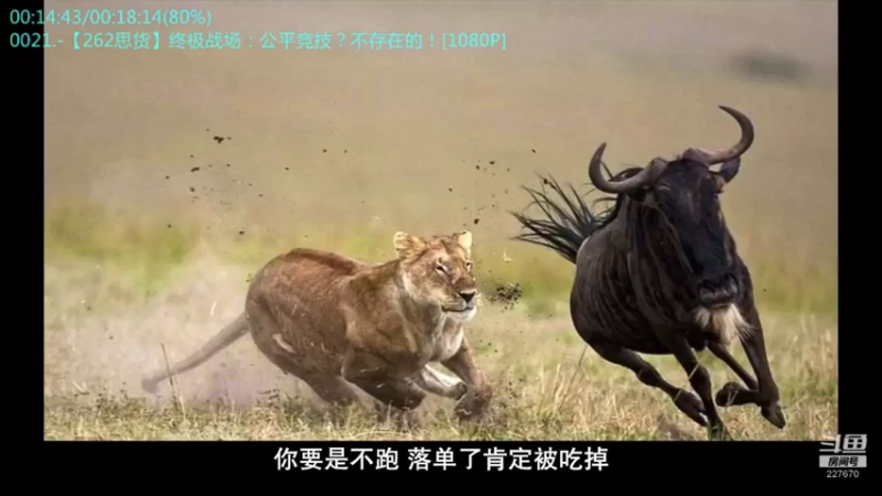 【2022-08-07 23点场】军武直播：战斗民族如何突击绑匪？人质都懵逼了