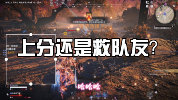 游戏不就是和朋友一起娱乐的？