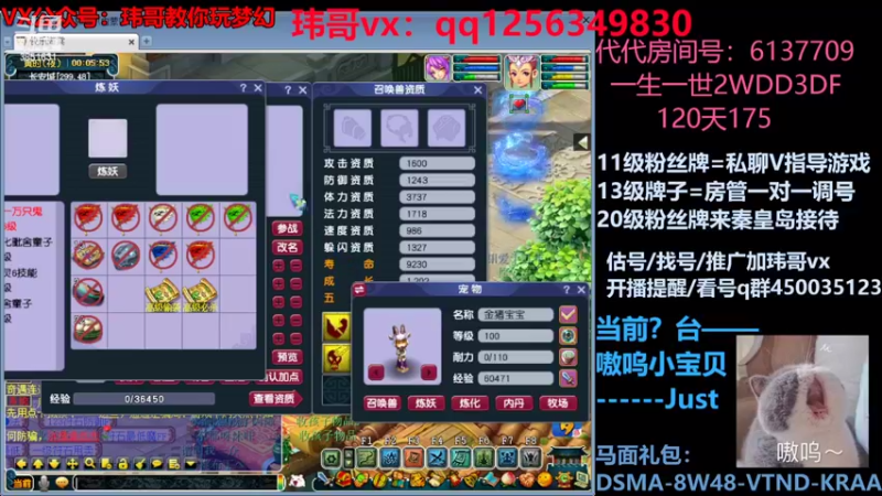 【2022-08-08 00点场】玮哥爱梦幻：一生一世120天175-送攻略