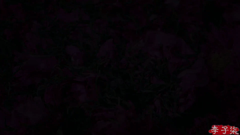 【美食】李子柒liziqi的精彩时刻 20220809 10点场