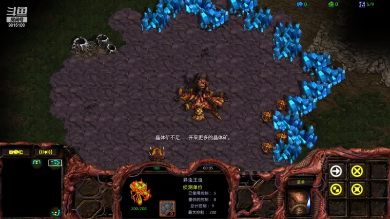 安排大熊Lvhc 3v3