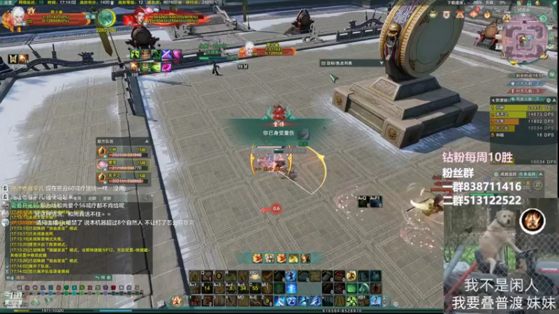 【2022-08-08 17点场】兔子队长丶：少林视角！散排竞技！