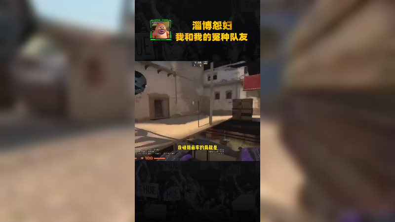 我和我的冤种队友们