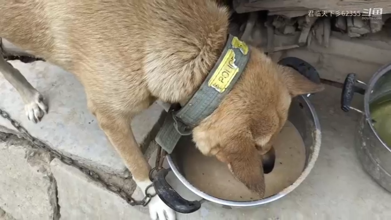 治愈系恰饭