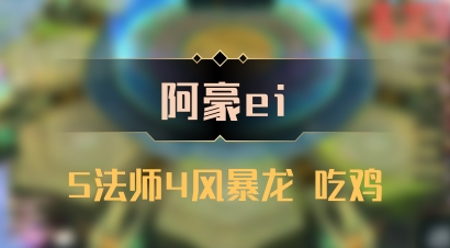 【阿豪ei】5法师4风暴龙 吃鸡