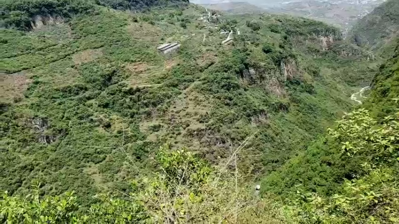 【2022-08-10 12点场】黑哥户外：农村平淡生活之大山深处