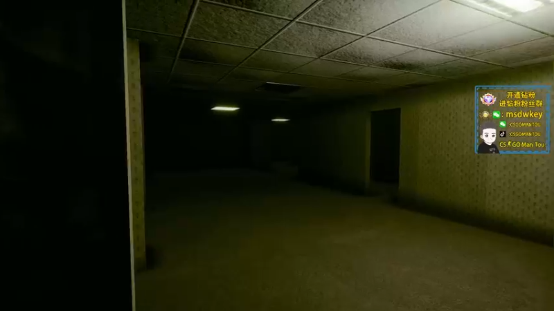 【2022-08-10 03点场】CSGO馒头：这两天随便玩玩咯