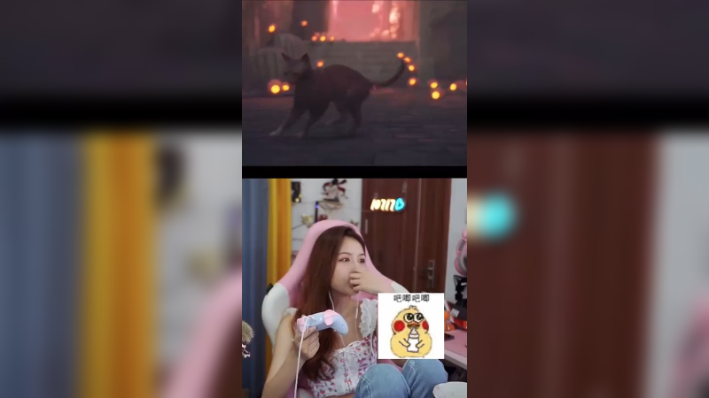 现在的”老鼠“都开始追”猫“了吗