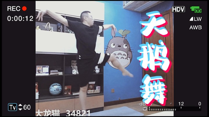 【主播小剧场】大龙猫_搞笑版天鹅舞