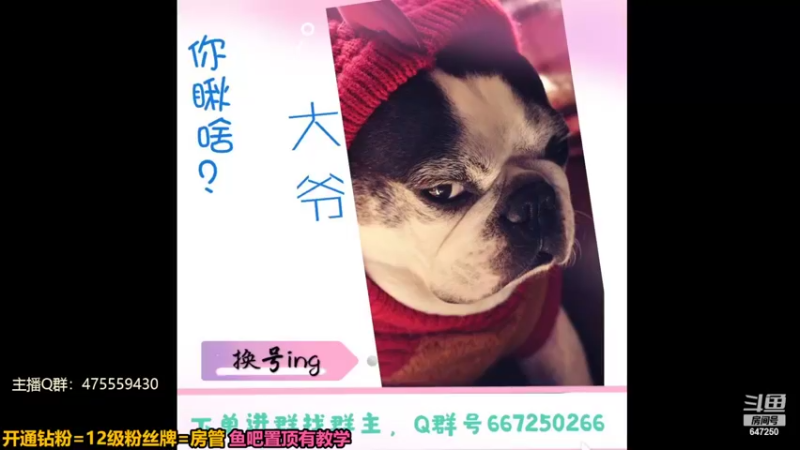 【2022-08-11 22点场】小马锅马杰：马锅：23届淘汰赛开赛了。