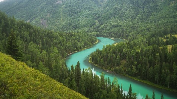 游览喀纳斯景区观鱼台神仙湾月亮湾卧龙湾