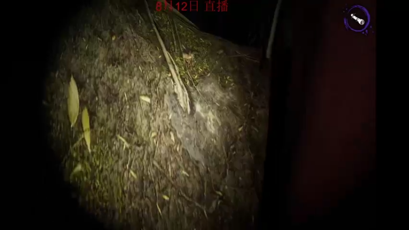 【2022-08-12 05点场】饺灬灬子：今天也是充满希望的一天呢！