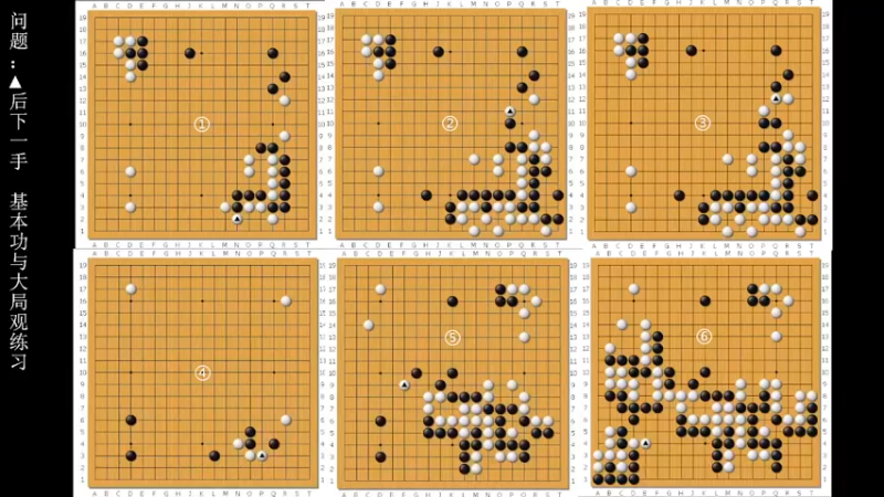 【2022-08-12 18点场】dxnbfcn：萌芽围棋教室 2022年春季班线上课程