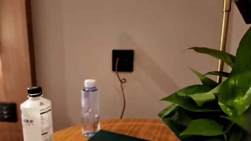 【2022-08-09 13点场】叶子户外：《节目结束》武汉day3