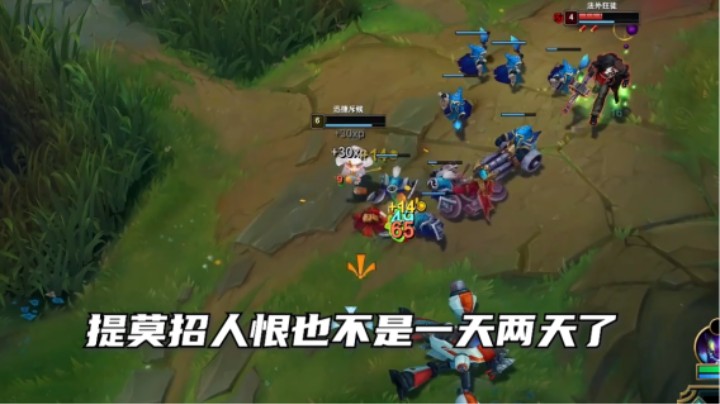 看自己玩提莫都想给自己来俩大鼻窦