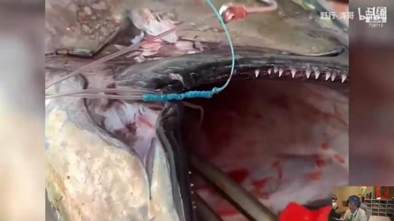 【2022-08-12 06点场】imxiaoxin：【这里有你想看的】双倍！